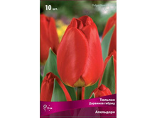 ������� ���������.jpg