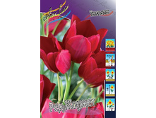 16,94���. ������� ��� ������(�������� ���� �� 10 ��., ����������� ����� 5��.).jpg