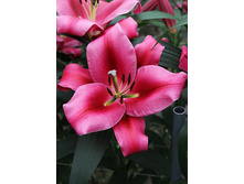 28,23���. ����� ��������(�������� ���� �� 7 ��., ����������� ����� 3��.).jpg