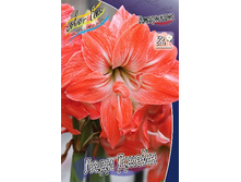 261,5���. ��������� ���� �����(���������� ������ ������ ���������� �� 1 ��.).jpg