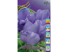 17,24���. ������� ��� ������(�������� ���� �� 10 ��., ����������� ����� 5��.).jpg