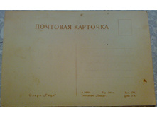 ����84 (1).jpg