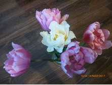 ���� ������