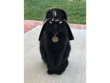 �������� �� ԣ���� �������!