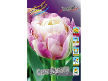 21,4���. ������� ���� ������(�������� ���� �� 10 ��., ����������� ����� 5��.).jpg