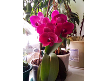 ��������. �������� ��������.