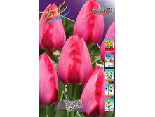 14,27���. ������� ����(���������� ������ ������ ���������� �� 10 ��.)���16.jpg