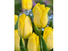 ������� ������ ����.jpg