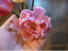 ���� ������