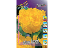 26,6���. ������� ��� ����(�������� ���� �� 10 ��., ����������� ����� 5��.).jpg