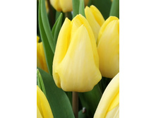 11,74���. ������� ����� �����(���������� ������ ������ ���������� �� 10 ��.)���17.jpg