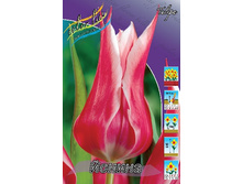 12,48���. ������� ������(���������� ������ ������ ���������� �� 10 ��.).jpg