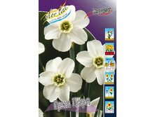 30,57���. ������� ���� ����(�������� ���� �� 7 ��., ����������� ����� 3��.).jpg