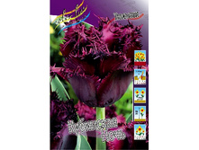 17,68���. ������� ��������� ����(�������� ���� �� 10 ��., ����������� ����� 5��.).jpg