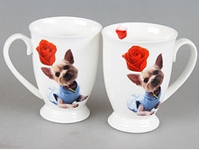 242 ���. - ����� ������, 2��, 350��