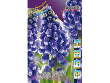 11���. ������� ����� �����(���������� ������ ������ ���������� �� 10 ��.).jpg