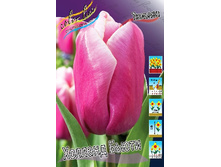 10,55���. ������� ������� �����(���������� ������ ������ ���������� �� 10 ��.)���16.jpg