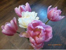 ���� ������