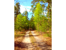 IMG 20170513 144651.jpg