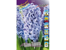 22���. ������� ��� �����(�������� ���� �� 5 ��., ����������� ����� 3��.).jpg