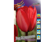 11���. ������� ��� ��������(���������� ������ ������ ���������� �� 10 ��.)���16.jpg