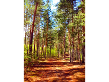 IMG 20170513 124545.jpg