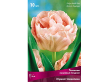 ������� ������� ��������.jpg