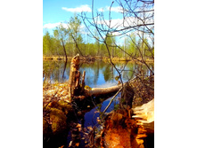 IMG 20170507 110300.jpg