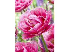 14,27���. ������� �������(���������� ������ ������ ���������� �� 10 ��.).jpg