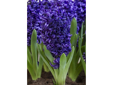 17,54���. ������� ��� ���� 14-15 (���������� ������ ������ ���������� �� 5 ��.)���17.jpg