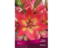 ����� �������.jpg