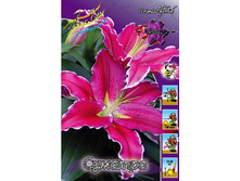 23,46���. ����� �������(�������� ���� �� 7 ��., ����������� ����� 3��.).jpg