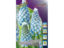 10,11���. ������� ����� ������(���������� ������ ������ ���������� �� 10 ��.).jpg