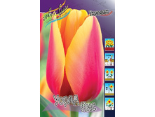 13,23���. ������� ����� ���(���������� ������ ������ ���������� �� 10 ��.).jpg