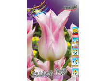 18,43���. ������� ������� ����(�������� ���� �� 10 ��., ����������� ����� 5��.)���16.jpg