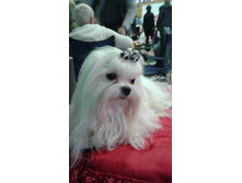 17974213 1407550049291131 1221451219 n.jpg