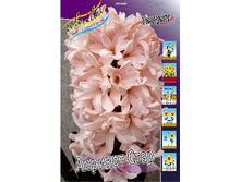 19,02���. ������� ������� ���� 14-15 (���������� ������ ������ ���������� �� 5 ��.).jpg