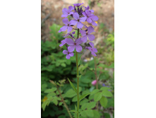 ��������� ���������.jpg