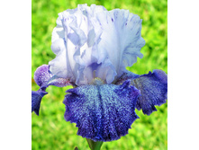 119,2���. ���� ���������� ����������(�������� ���� �� 2 ��., ����������� ����� 1��.)���17.jpg