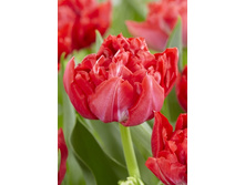 15,46���. ������� ������ �����(�������� ���� �� 10 ��., ����������� ����� 5��.)���17.jpg