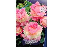 208,5���. ���� ������(���������� ������ ������ ���������� �� 1 ��.).jpg