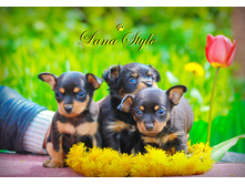 �.�. �������� �� 10 �.�