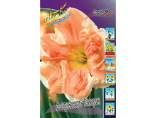 28,34���. ������� ������� ����(�������� ���� �� 7 ��., ����������� ����� 2��.).jpg