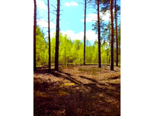 IMG 20170507 130741.jpg