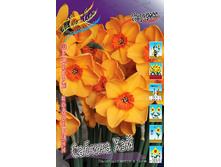 62,1���. ������� ������ ���(�������� ���� �� 5 ��., ����������� ����� 1��.).jpg