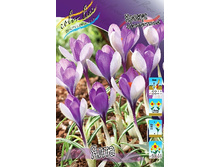 7,28���. ������ ����(���������� ������ ������ ���������� �� 10 ��.)���16.jpg