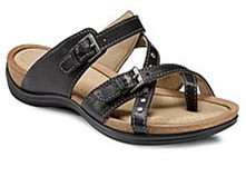 5 ��� ���� ���� 1499 ��� 36, 37, 38�, 39, 40, 41.jpg