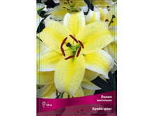 ����� �����-����.jpg