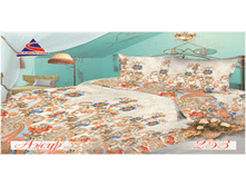 ���� ���.png