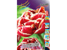 14,71���. ������� ��������(���������� ������ ������ ���������� �� 10 ��.).jpg